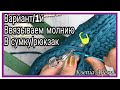 КАК ВВЯЗАТЬ МОЛНИЮ В СУМКУ,ВАРИАНТ №1.HOW TO TIE A ZIPPER IN A BAG, OPTION №1. Ksenia Alyson