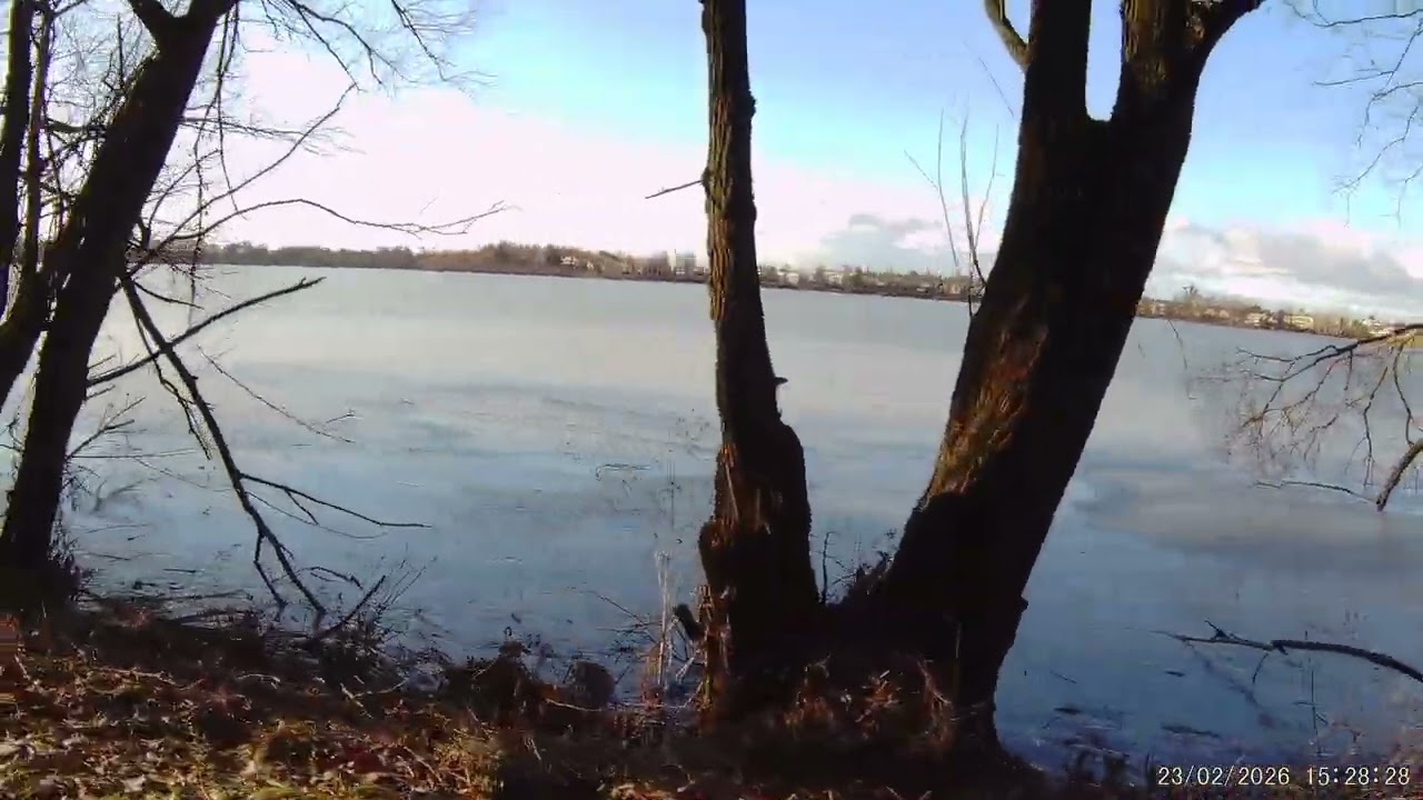 Rybník Nezmar u Dolního Benešova.