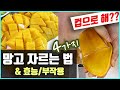 (ENG SUB) 망고 자르는 법 4가지 & 망고의 부작용 [🥭How To Cut Mango🥭] (꼭 알아 두세요!)