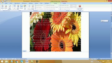 How to resize image watermark in MS Word | How to resize picture watermark in MS Word