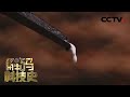 来自树木的财富 让世界更具 弹性 橡胶 20210313 解码科技史 CCTV科教 来自树木的财富 让世界更具 弹性 橡胶 20210313 解码科技史 CCTV科教