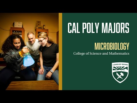 Video: Oko poly oferă microbiologie?