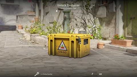 OPENING CASES CS2. DAY 106. PRISMA CASE.