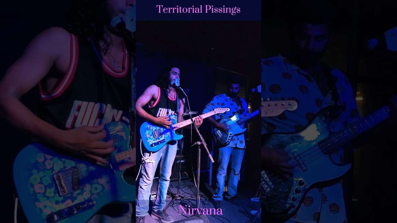 This song is an original called territorial pissings. 