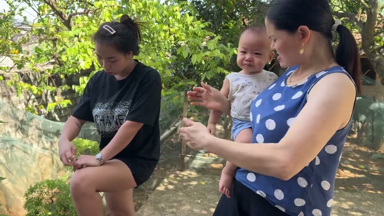 Hoài Nhờ Mẹ Khuyên Anh Còi Chuyện Nhà Cửa 