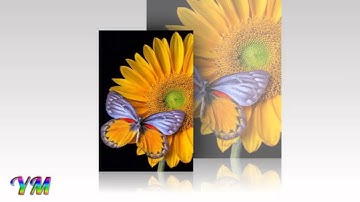 42  سورة الشورى      القارئ سعد الغامدي