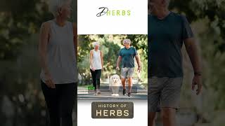 Improve your memory with this herb #memory #shortsfeed