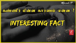 WHY TEARS ARE GLITTERING? | FRIDAY FACTS #tamildentico #anatomy #MEIBOMIANGLAND #MEDICINE