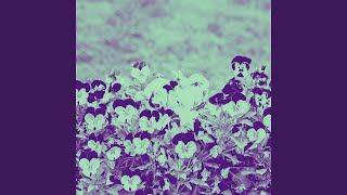 Cheerful Backdrops for Connected Images