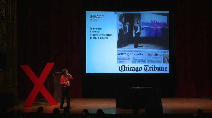 Crowd Sourcing: Elizabeth Gerber at TEDxUChicago 2...