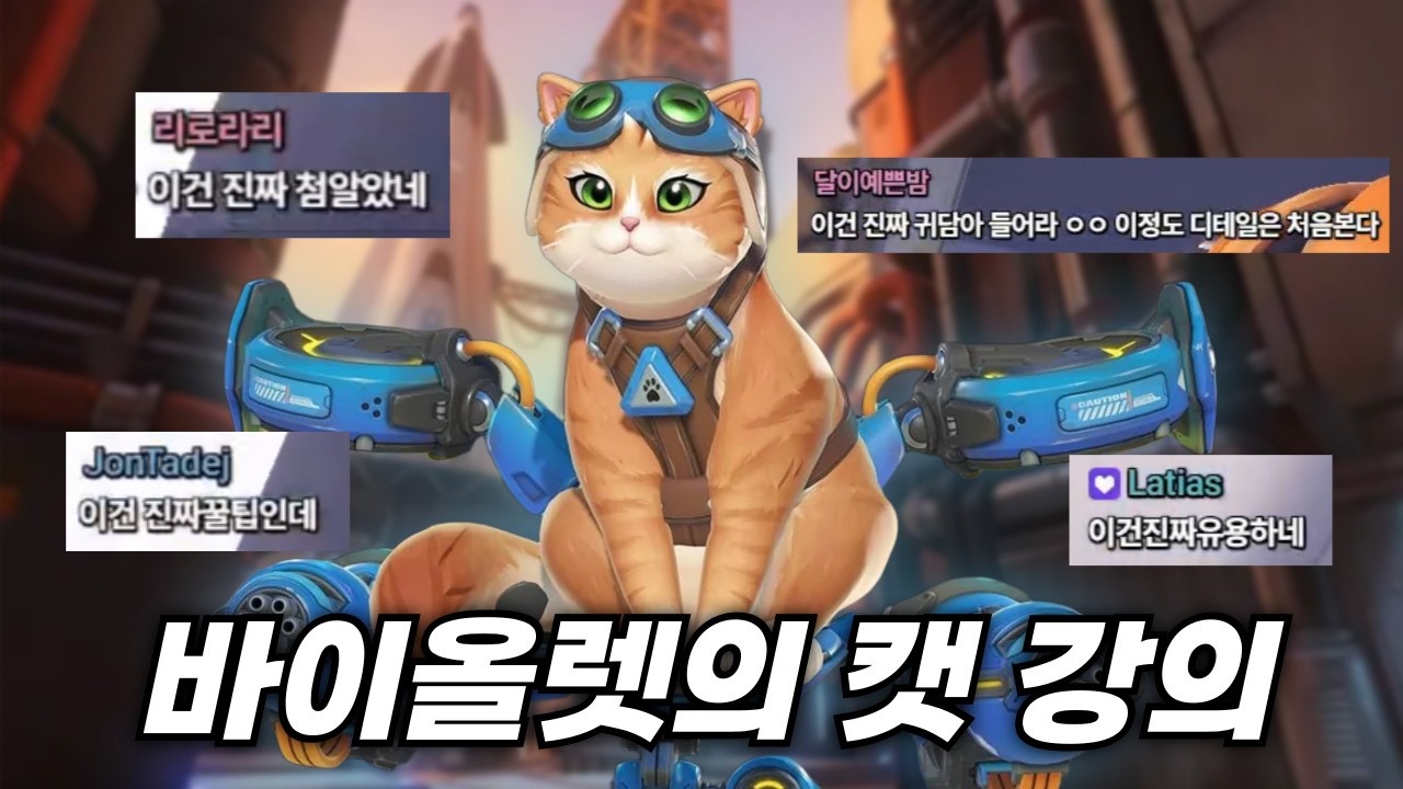 바이올렛이 알려주는 제트팩 캣 운영법