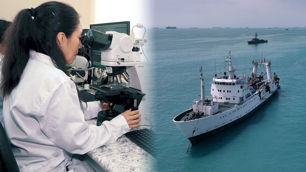 Flota científica: inicia la construcción del sucesor del Humboldt