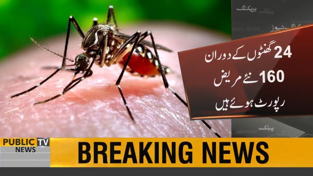 ary news live headlines today Dengue out of control in Pakistan, 160 new cases reported in 24 hour