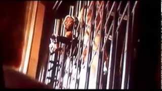 Night At The Museum - Hall Of African Mammals