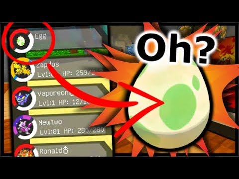 Hatching THAT Egg 5 Years - YouTube