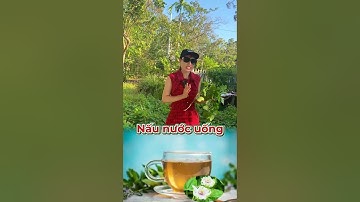 Cách sử dụng cây lạc tiên điều trị mất ngủ #thinhhanh #xuhuong #bacsidaivy #bacsivy #bsvy