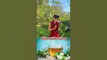 Cách sử dụng cây lạc tiên điều trị mất ngủ #thinhhanh #xuhuong #bacsidaivy #bacsivy #bsvy