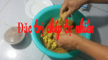 Mồi ủ câu cá chép sông hồ tự nhiên dễ làm nhưng rất hiệu quả.