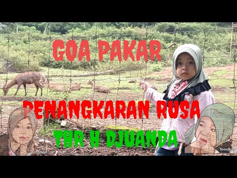 Video: 3 Cara Mengenali Tambak