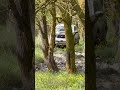 #4x4 #automobile #offroadoverland #offroad #4x4offroad #offroading #short #keşfet #trending #wood