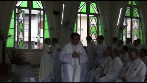 Video Clip đặc biệt: quý cha, quý thầy Dòng Chúa Cứu Thế Việt Nam chúc mừng cha Tân Giám Tỉnh DCCTVN