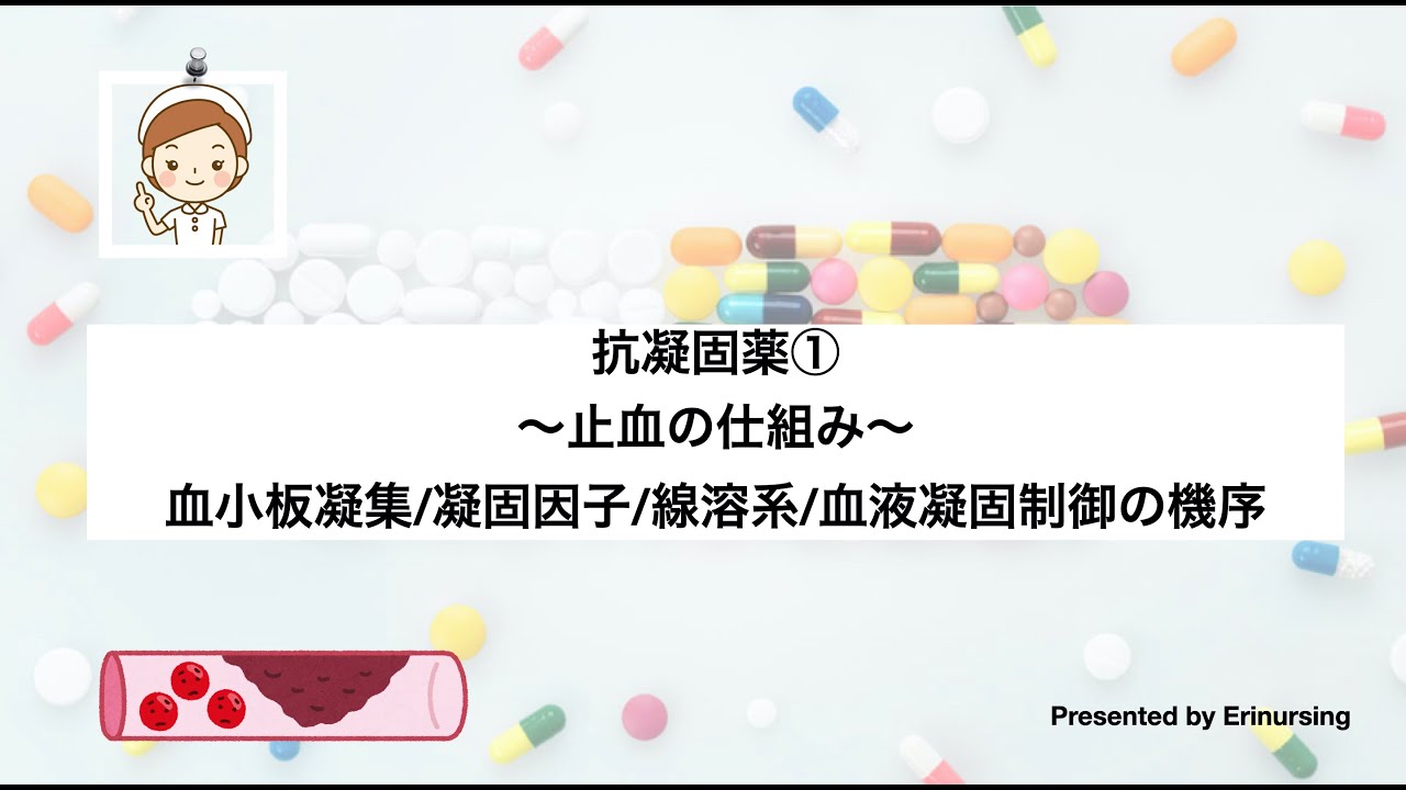 抗凝固薬①｜止血の仕組み〜血小板凝集/凝固因子/線溶系/血液凝固制御の機序
