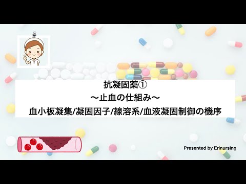 抗凝固薬①｜止血の仕組み〜血小板凝集/凝固因子/線溶系/血液凝固制御の機序