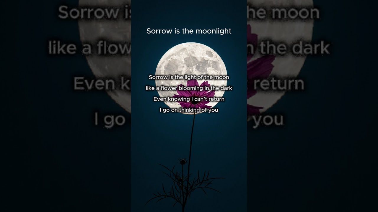 Sorrow is the moonlight  /  Taka Space