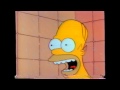 Simpsons homer sacre