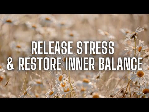 Short Stress Buster Meditation to Release Stress, Manage Anxiety, Improve Mental Health