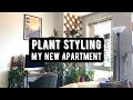 Plant Styling My New Apartment | Moving Vlog