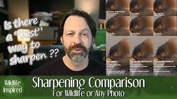 Sharpen Comparison for Wildlife Photography (or any image)