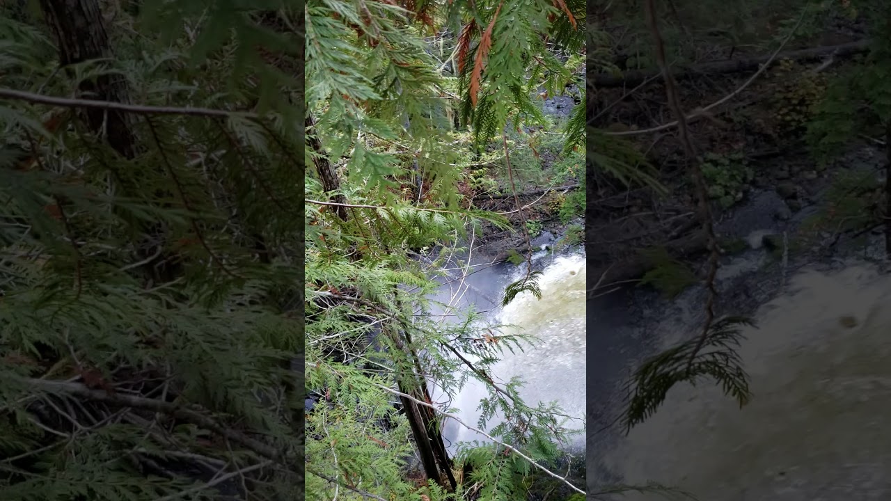 Lilliwaup Water Frolics