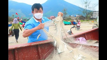 Ngư dân Kỳ Anh trúng đậm cá trích