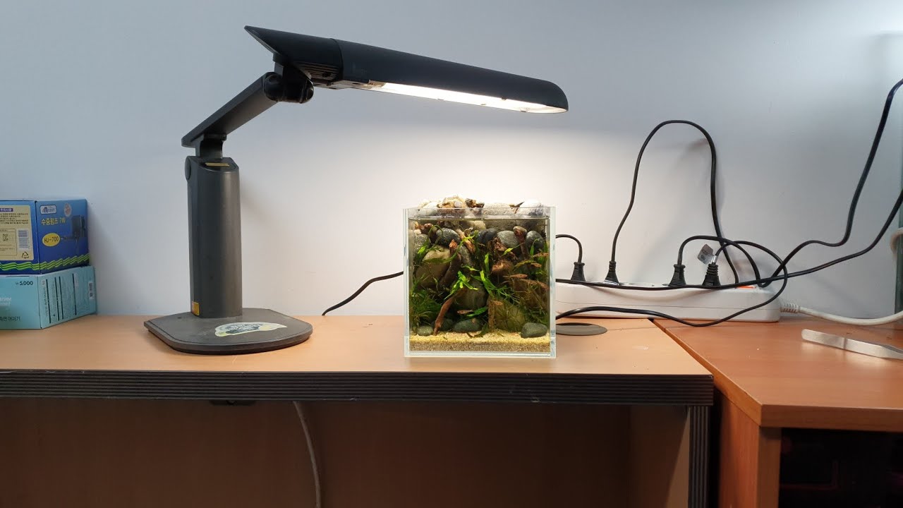 사무실에서 즐기는 미니어항, 미니수조 레이아웃(Mini water tank to enjoy in the office, nano