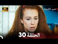 مسلسل حب للايجار الحلقة 30 4K ULTRA HD مسلسل حب للايجار الحلقة 30 4K ULTRA HD