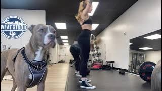 Sarah León's Sweat Studio