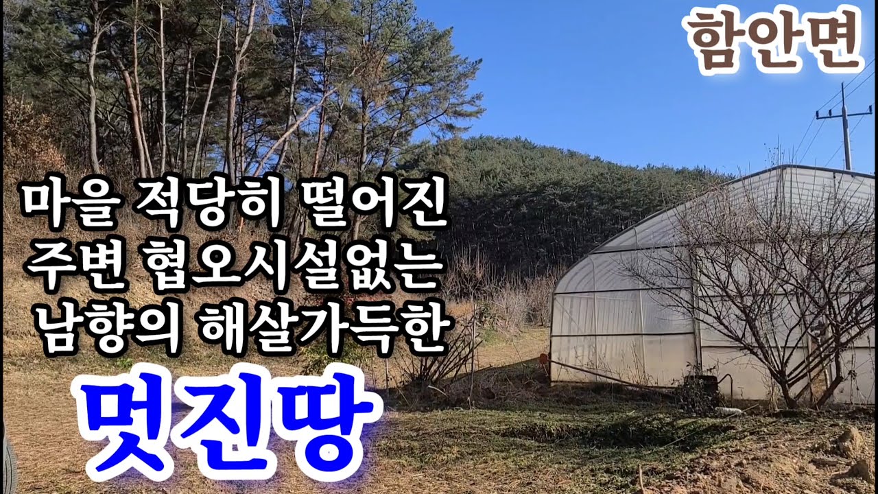 함안땅1686㎡(510평) 2500만매매가인하 마을 적당히 떨어져 주변 간섭없고 남서향의 겨울 해살 가득한 포근한땅 지적도상 폭4m 포장도로접 3상전기 내땅에 인입유 상수도인입가