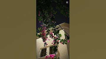 قرآن كريم #اللهم_صل_على_محمد_وال_محمد #اكسبلور_explore #لايك #المصحف #اكسبلور