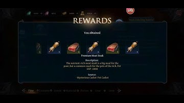 Raziel: Dungeon Arena (BETA) | Chapter 4