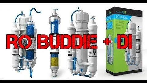 RO BUDDIE + DI UNBOXING