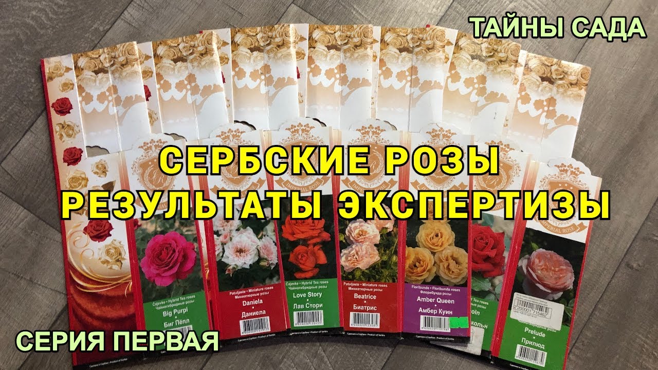Камаз засыпай на моих