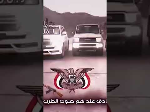 صوت البنادق عندهم