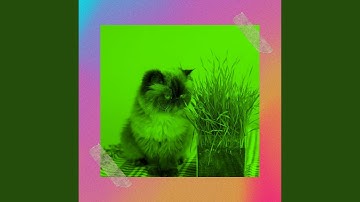 Relaxed Waltz - Vibe for Lazy Cat Days