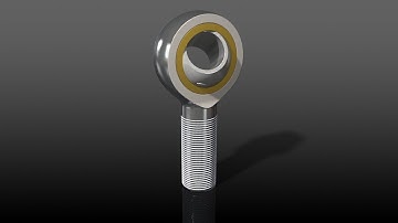 Modeling rod ends in SW timelapse