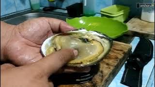 ANTI RIBET!! CARA PALING CEPAT MASAK KERANG KIJING