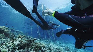 SUUNTO D5 Inspirational