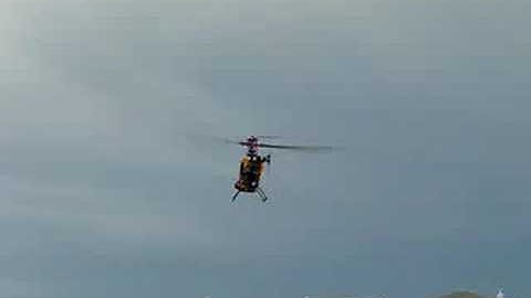 Belt CP Sport Flying