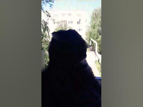 ЭсТэТиКа - YouTube