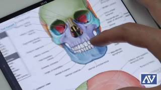 Reasons to Use Technology in Education